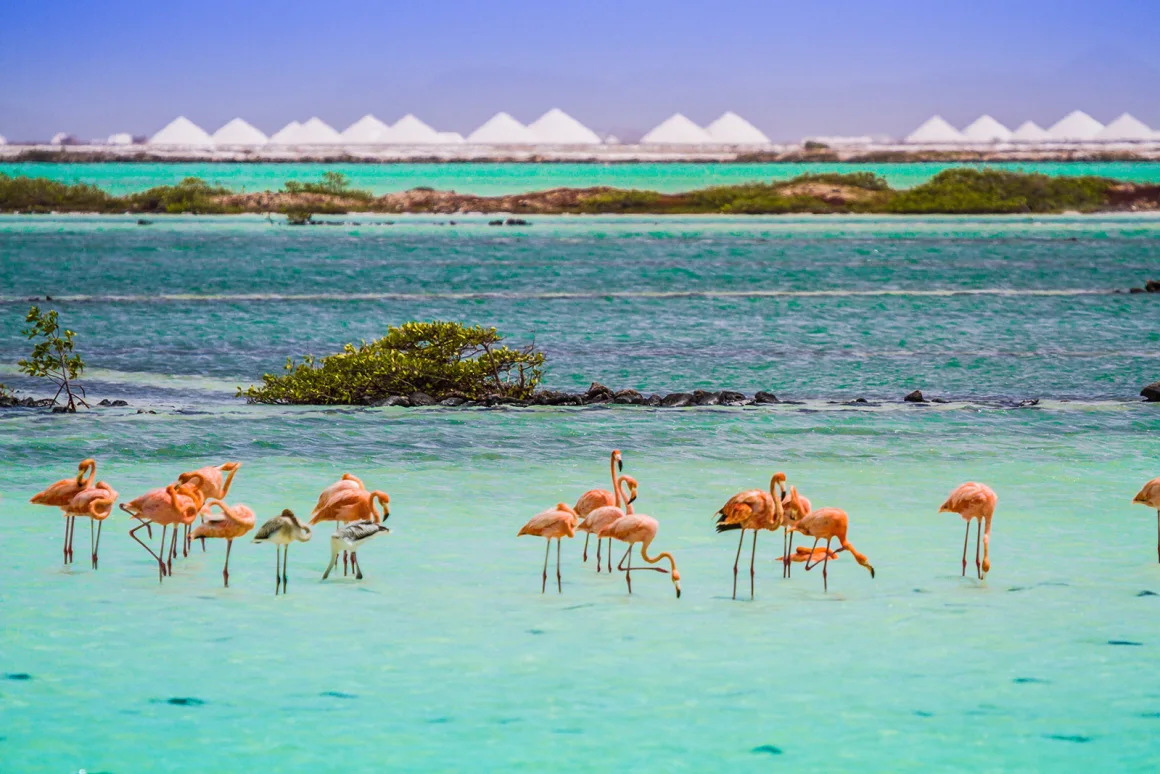 Bonaire, Dutch Caribbean